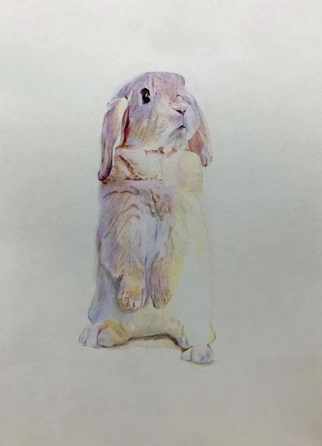 學(xué)員作品分享20230320- (88).jpg 深圳畫(huà)室