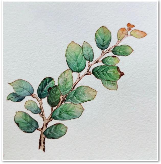 深圳美術(shù)培訓_深圳學(xué)畫(huà)畫(huà)_深圳畫(huà)室 (15).jpg 深圳美術(shù)培訓