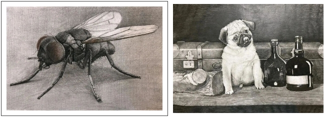 深圳成人興趣愛(ài)好學(xué)習素描彩鉛繪畫(huà)比較好的地方 (11).png