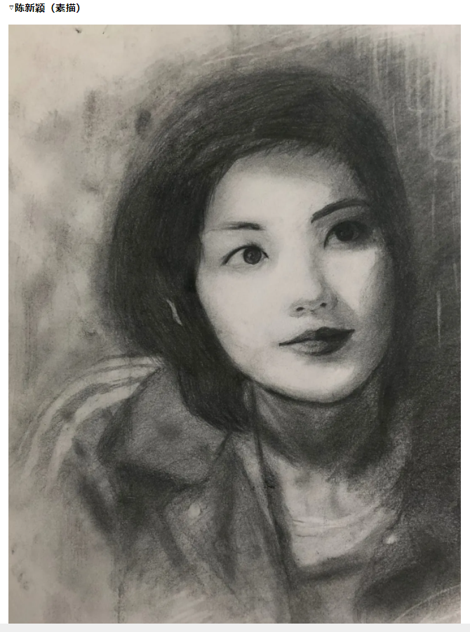 企業(yè)微信截圖_17169841472058.png 學(xué)員美術(shù)作品分享