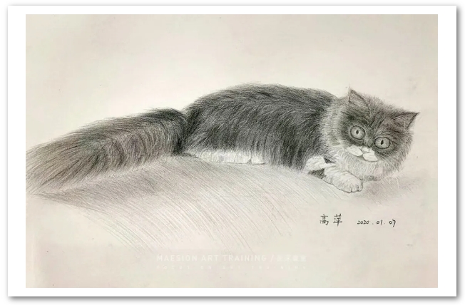 深圳成人興趣愛(ài)好學(xué)習油畫(huà) (20).png