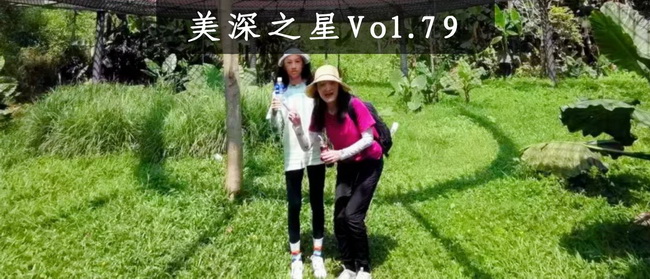 深圳美術(shù)培訓