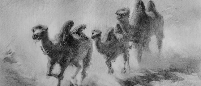 預告丨王少華老師首開(kāi)「風(fēng)景素描主題課」，用黑白灰定格喜歡的風(fēng)景