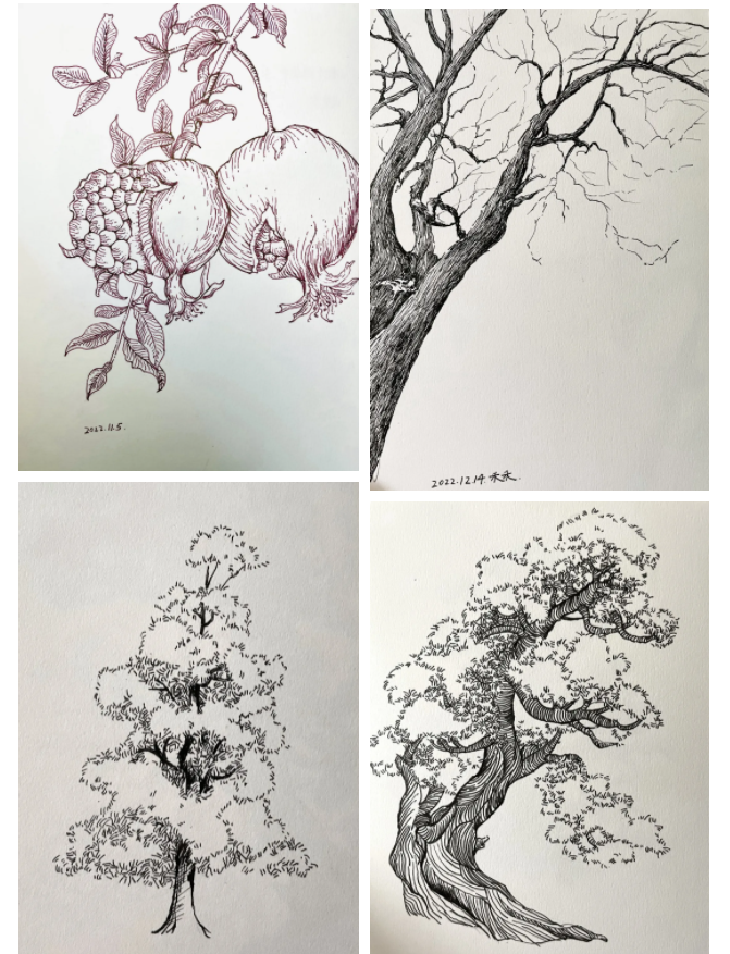 學(xué)員作品分享