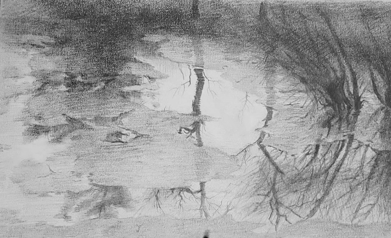 成人學(xué)素描多久能學(xué)會(huì )