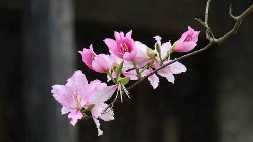 甘坑寫(xiě)生歸來(lái)丨流淌的春光 美深畫(huà)室