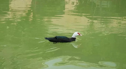 甘坑寫(xiě)生歸來(lái)丨流淌的春光 美深畫(huà)室