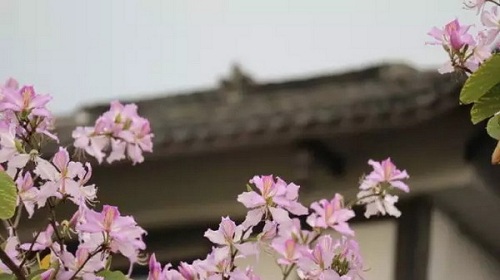 甘坑寫(xiě)生歸來(lái)丨流淌的春光 美深畫(huà)室
