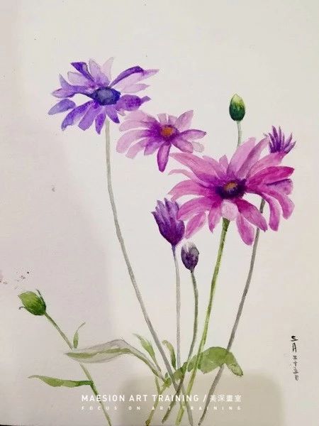 美深畫(huà)室