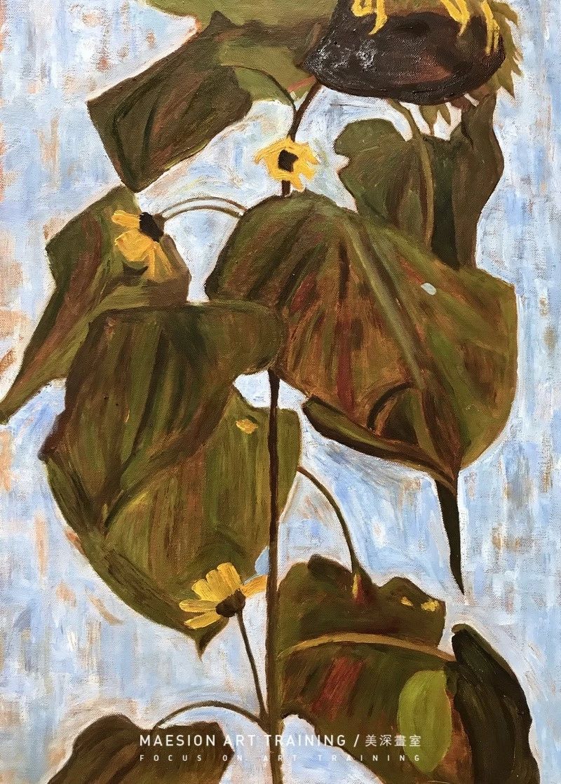 美深畫(huà)室