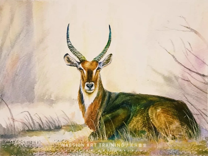 學(xué)畫(huà)畫(huà)23