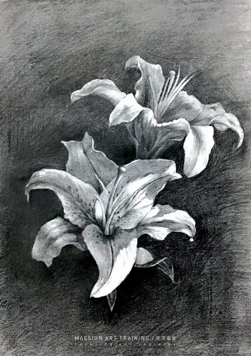 深圳寶安區畫(huà)室30