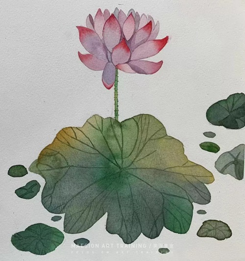 深圳福田區學(xué)畫(huà)畫(huà)26