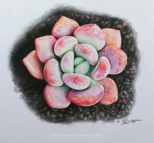 深圳學(xué)習素描13