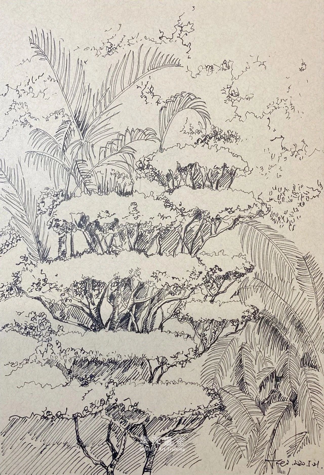 深圳學(xué)畫(huà)畫(huà)