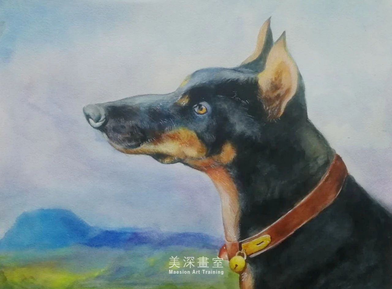深圳學(xué)畫(huà)畫(huà)