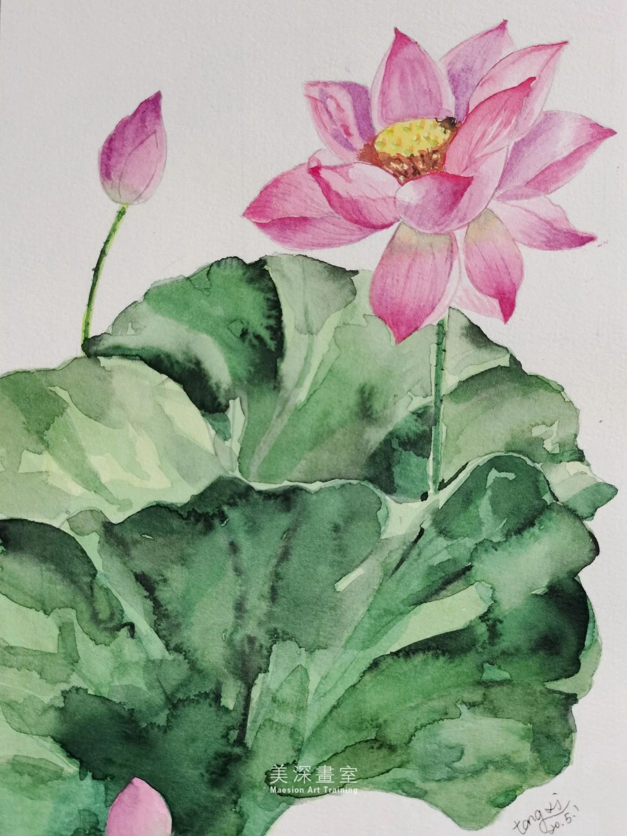 深圳學(xué)畫(huà)畫(huà)