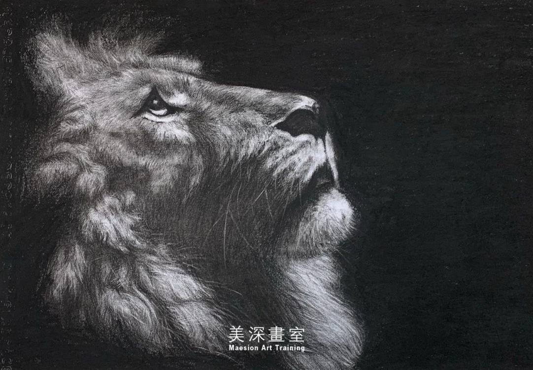 寶安區學(xué)畫(huà)畫(huà)