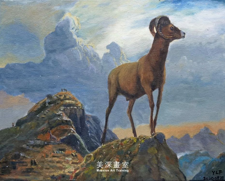 深圳美術(shù)培訓
