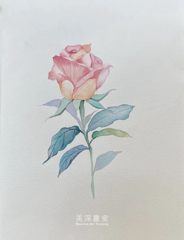 寶安學(xué)插畫(huà)